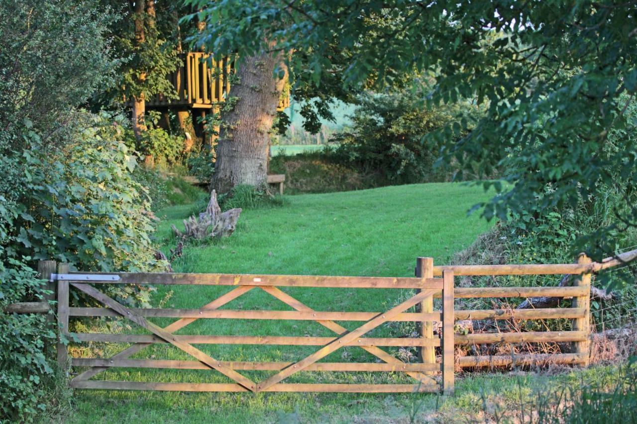Lovaton Farmhouse Okehampton Esterno foto