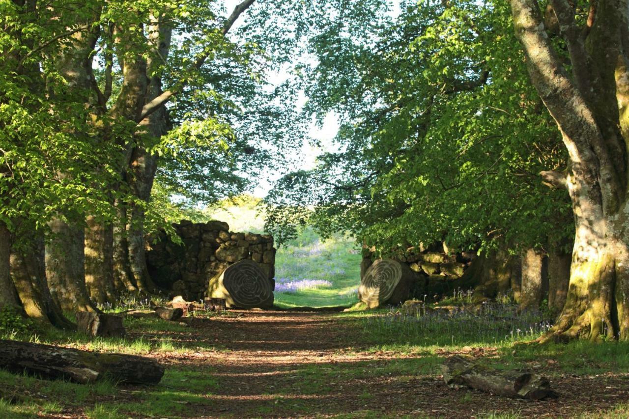 Lovaton Farmhouse Okehampton Esterno foto