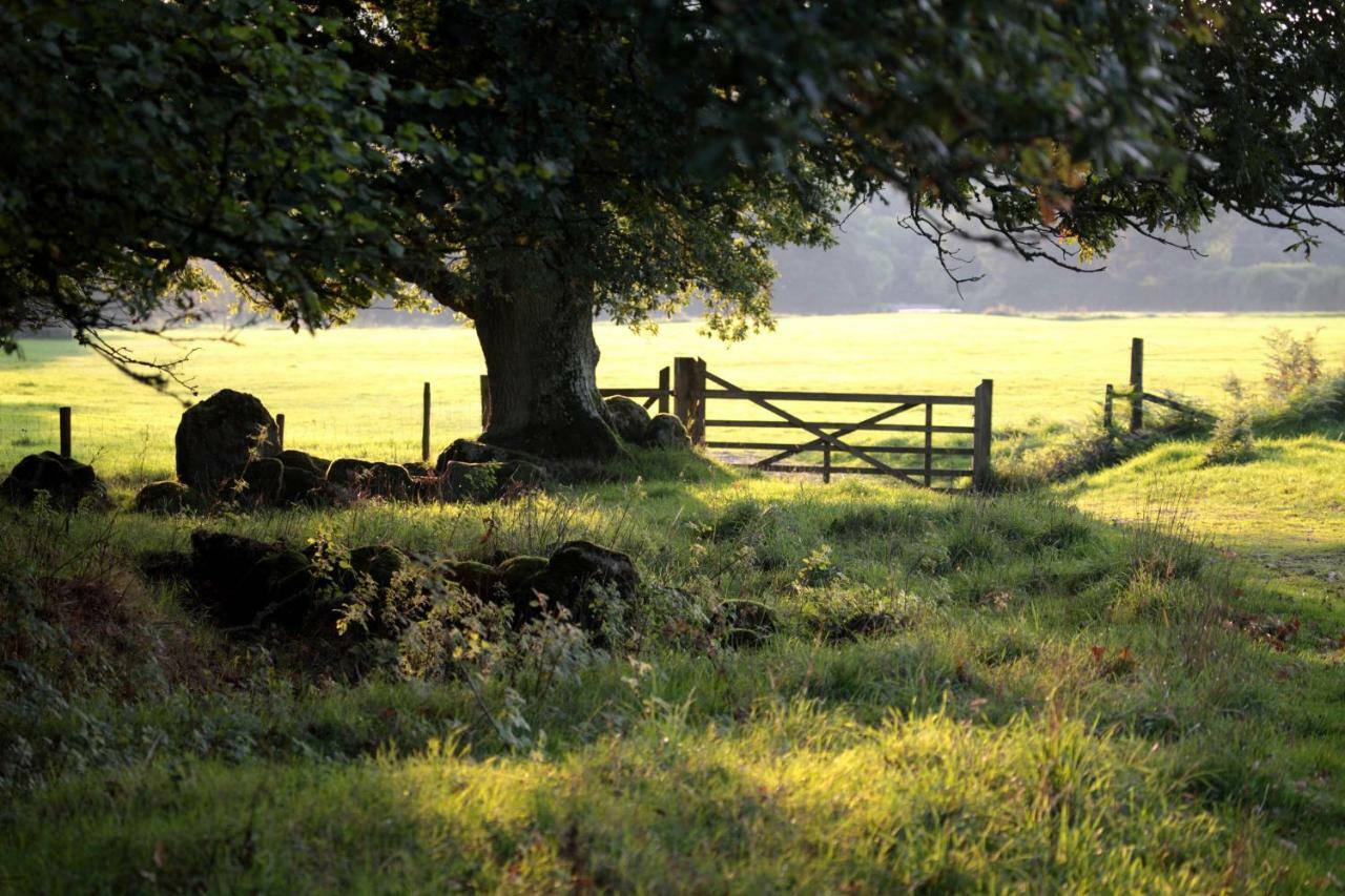 Lovaton Farmhouse Okehampton Esterno foto