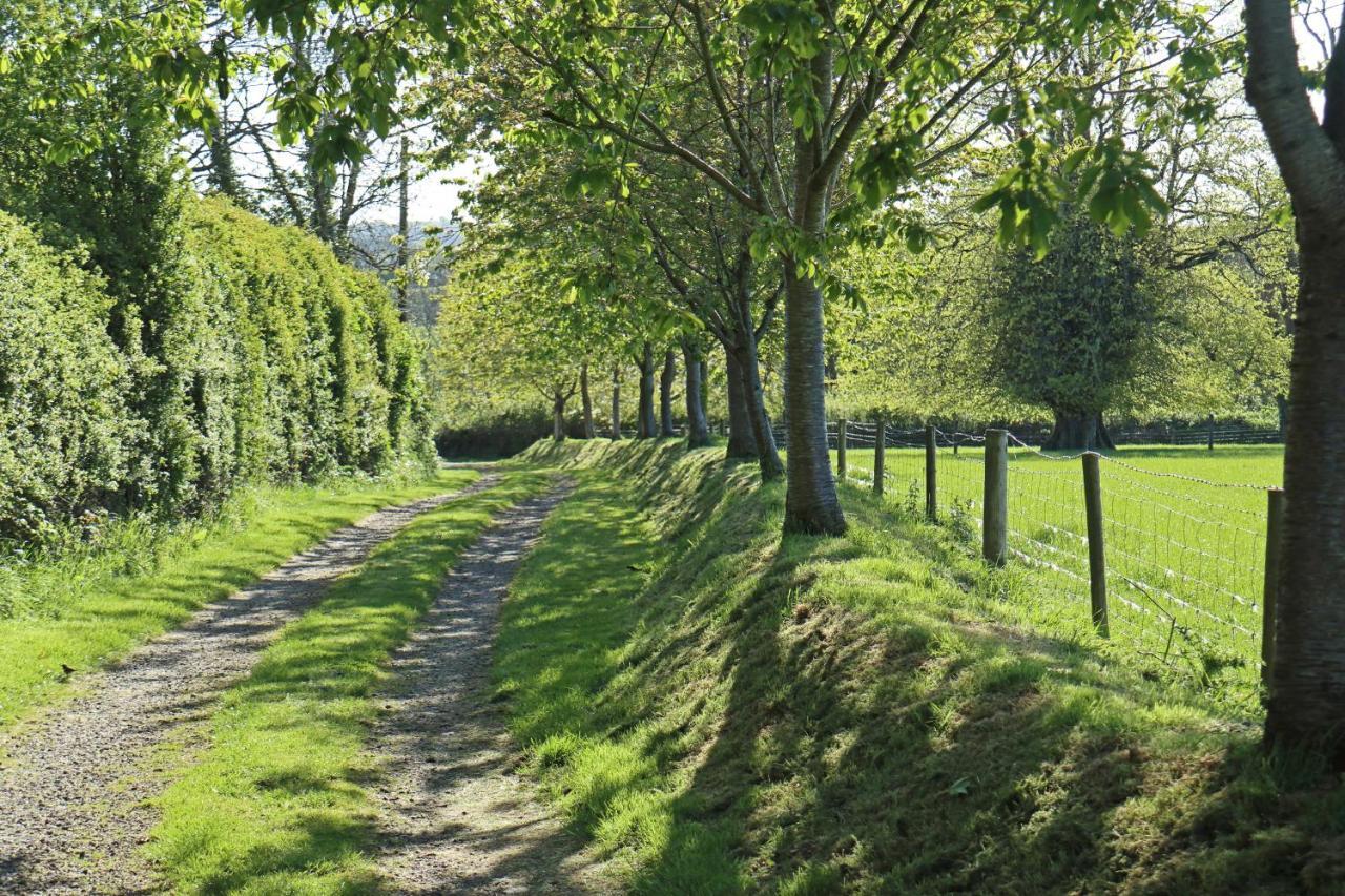 Lovaton Farmhouse Okehampton Esterno foto